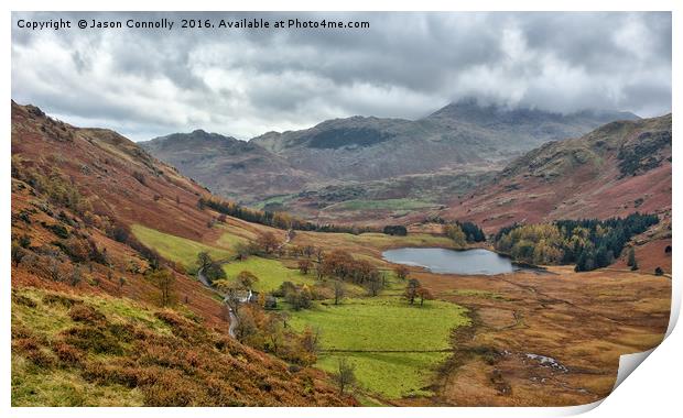 Blea Tarn, Little Langdale Print by Jason Connolly