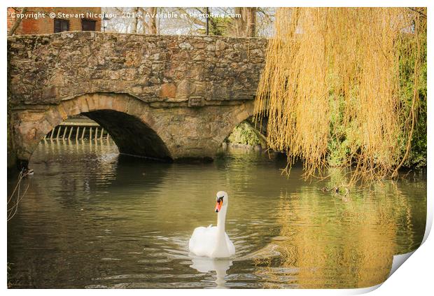 Place Mill, Christchurch Print by Stewart Nicolaou