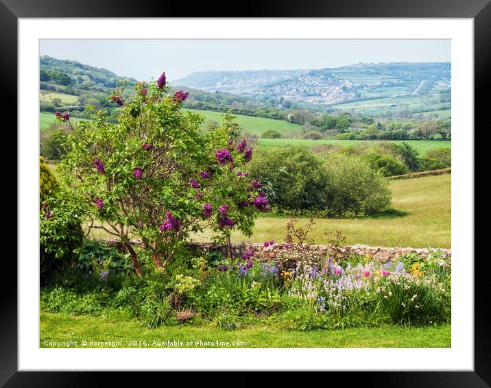 Whitchurch Canonicorum Framed Mounted Print by Susie Peek