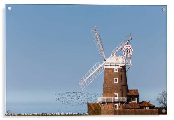 Flock of birds take to the skies behind Cley windm Acrylic by Jason Wells