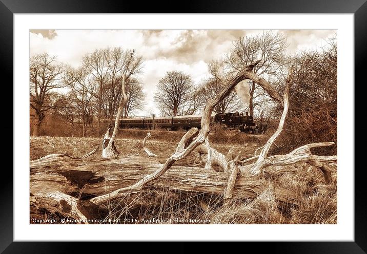 Kent and East Sussex Railway  Framed Mounted Print by Framemeplease UK