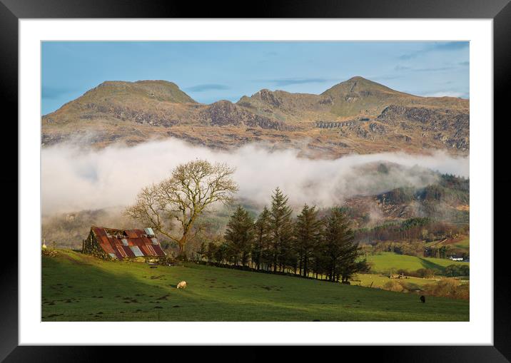 The Moelwyn range from the Bwlch road Framed Mounted Print by Rory Trappe