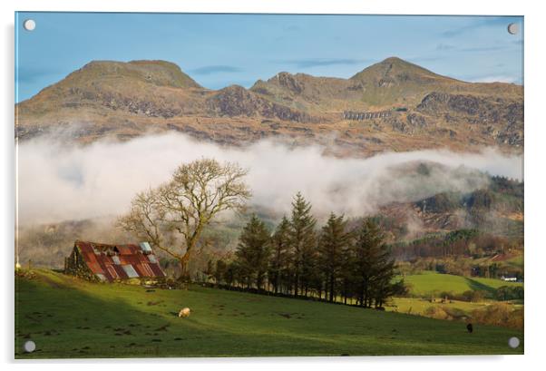 The Moelwyn range from the Bwlch road Acrylic by Rory Trappe