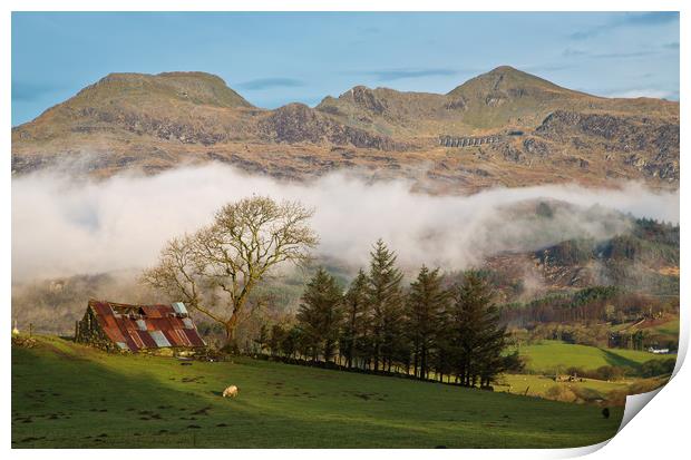 The Moelwyn range from the Bwlch road Print by Rory Trappe