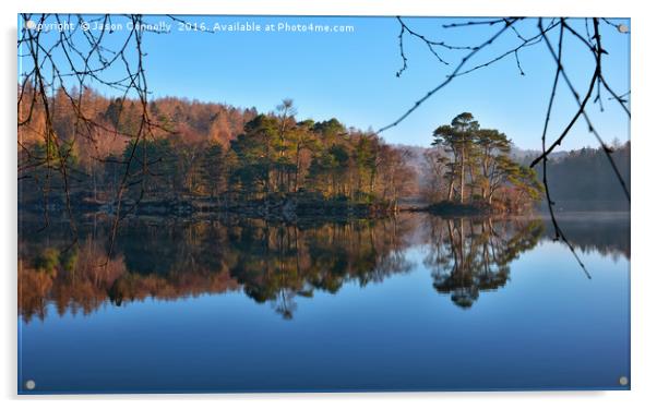 Tarn Hows, Lake District Acrylic by Jason Connolly