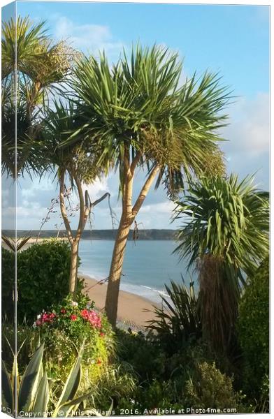 Tropical Tenby Canvas Print by Chris Williams