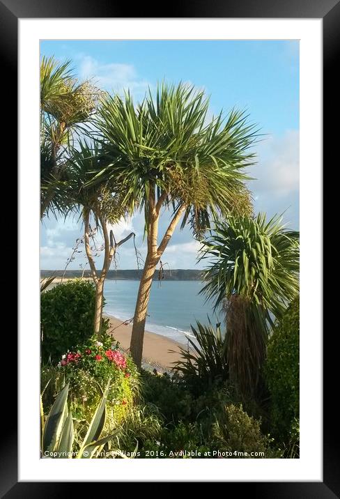 Tropical Tenby Framed Mounted Print by Chris Williams