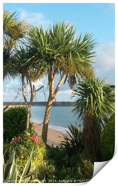 Tropical Tenby Print by Chris Williams