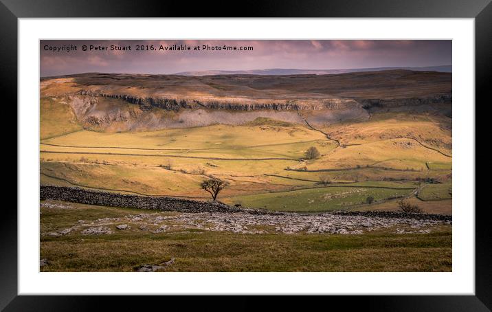 Crummockdale, Austwick, North Yorkshire, Framed Mounted Print by Peter Stuart