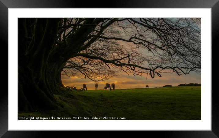 Horses at Sunset Framed Mounted Print by Agnieszka Grzeskow