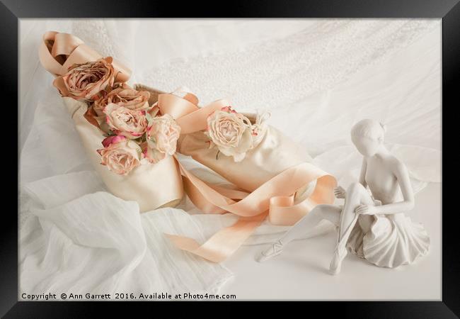 Roses for the Ballet Dancer Framed Print by Ann Garrett