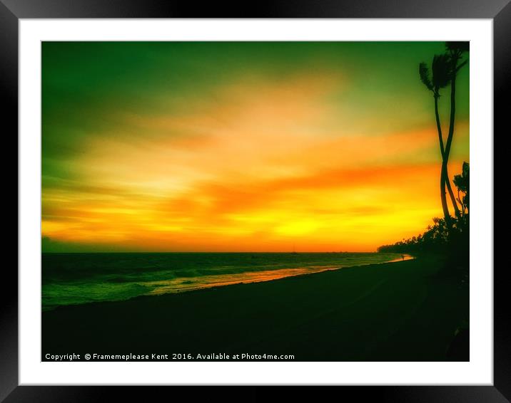 Palm Trees  Framed Mounted Print by Framemeplease UK