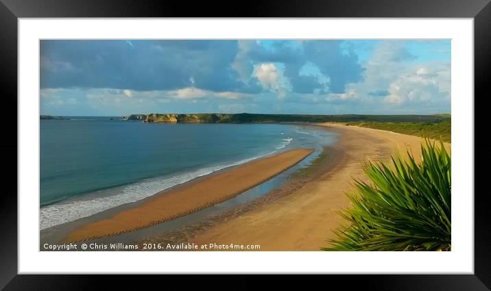 Tenby's Southern Sands Framed Mounted Print by Chris Williams