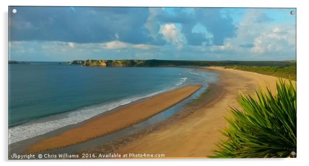 Tenby's Southern Sands Acrylic by Chris Williams