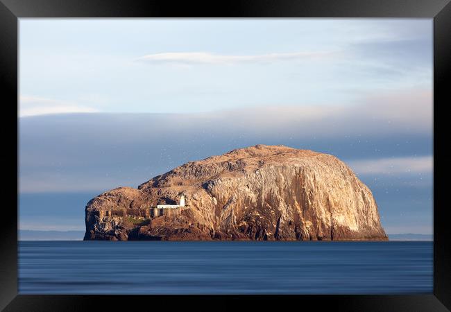 The Bass Rock. Framed Print by Tommy Dickson