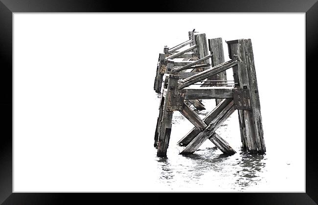 Rotting Away ... Framed Print by Becky Dix