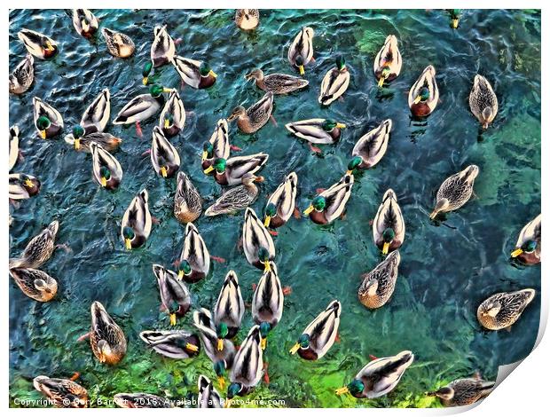 Duck Swarm Print by Gary Barratt