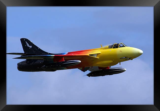 Miss Demeanour Framed Print by Oxon Images
