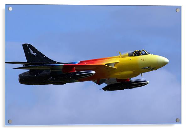 Miss Demeanour Acrylic by Oxon Images