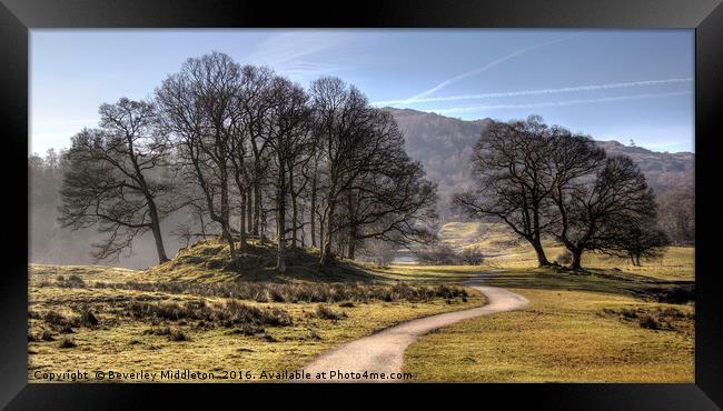 Frosty Morning  Framed Print by Beverley Middleton