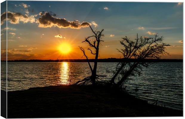 Sunset Silhouette Canvas Print by Doug Long