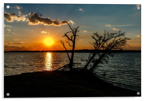 Sunset Silhouette Acrylic by Doug Long