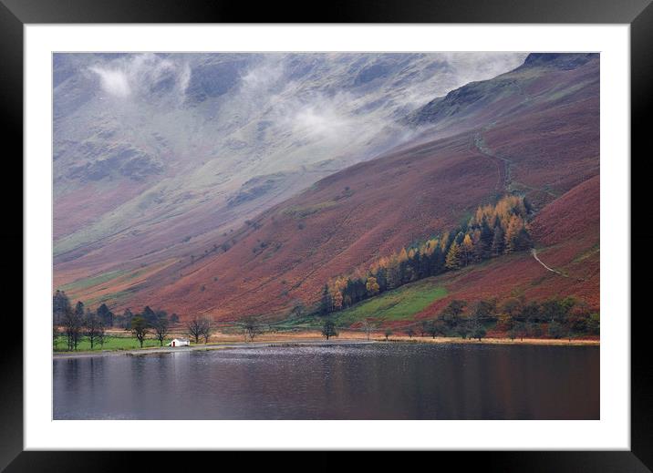 Cloud and autumnal colours. Buttermere, Cumbria, U Framed Mounted Print by Liam Grant