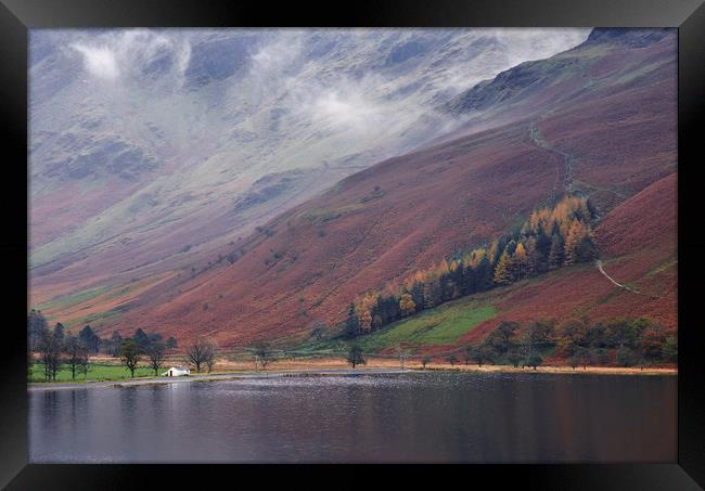 Cloud and autumnal colours. Buttermere, Cumbria, U Framed Print by Liam Grant