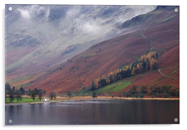 Cloud and autumnal colours. Buttermere, Cumbria, U Acrylic by Liam Grant