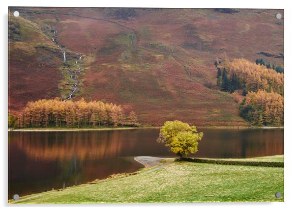 Autumnal colour. Buttermere, Cumbria, UK. Acrylic by Liam Grant