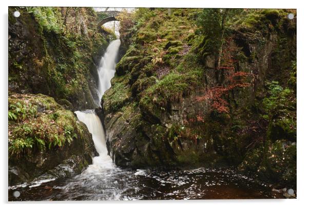 Aira Force waterfall. Cumbria, UK. Acrylic by Liam Grant