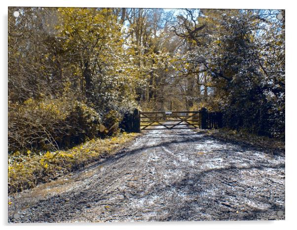 gated woodland Acrylic by paul ratcliffe
