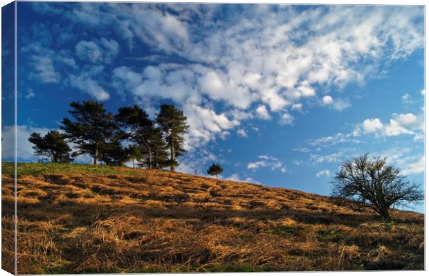 Colmers Hill                        Canvas Print by Darren Galpin
