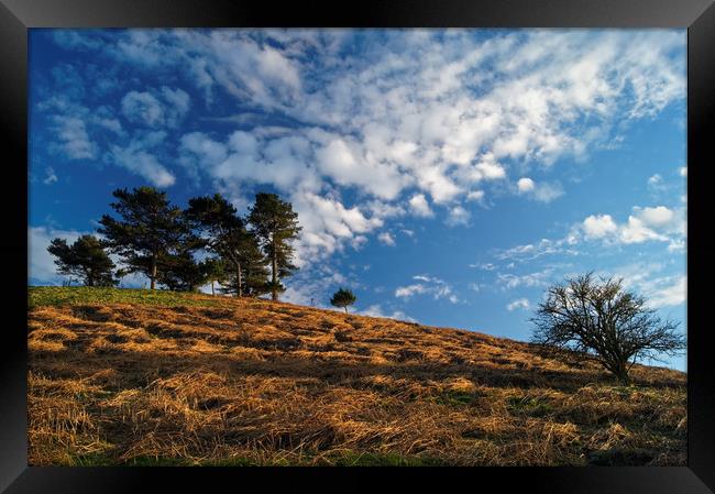 Colmers Hill                        Framed Print by Darren Galpin