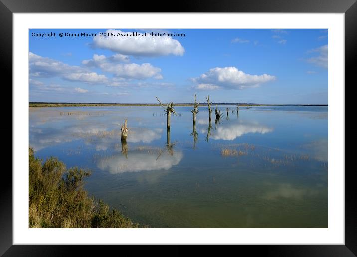 Tollesbury Marshes Essex Framed Mounted Print by Diana Mower
