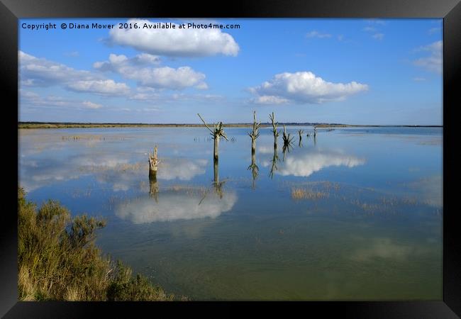 Tollesbury Marshes Essex Framed Print by Diana Mower