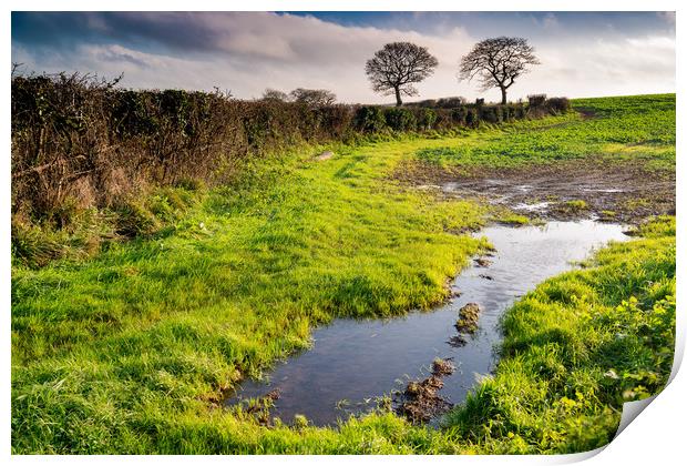 Two trees Print by Michael Brookes