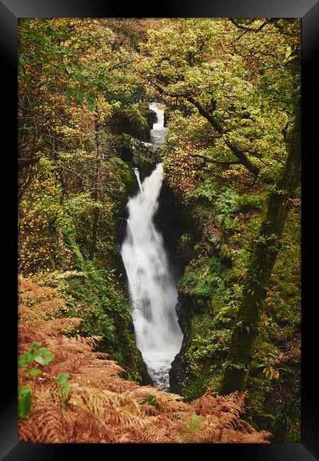 Aira Force waterfall. Cumbria, UK. Framed Print by Liam Grant