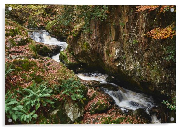 Waterfall leading to Aira Force. Cumbria, UK. Acrylic by Liam Grant