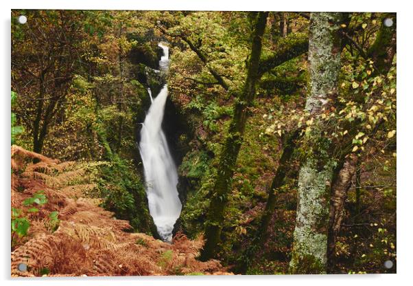 Aira Force waterfall. Cumbria, UK. Acrylic by Liam Grant