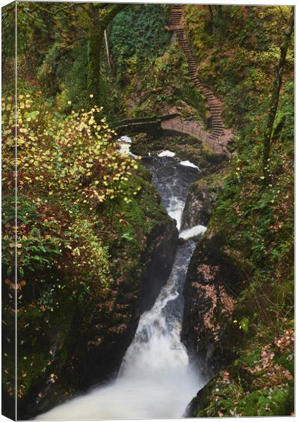 Above Aira Force waterfall with bridge and steps b Canvas Print by Liam Grant