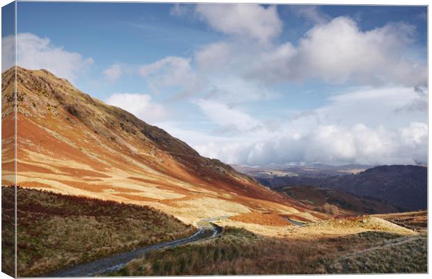 Track on the Honister Pass. Cumbria, UK. Canvas Print by Liam Grant