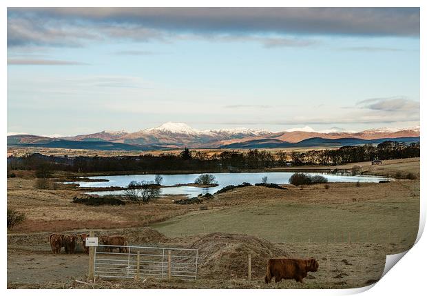 highland cows view Print by Jade Scott