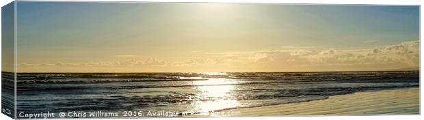 Sea of Mindfulness  Canvas Print by Chris Williams