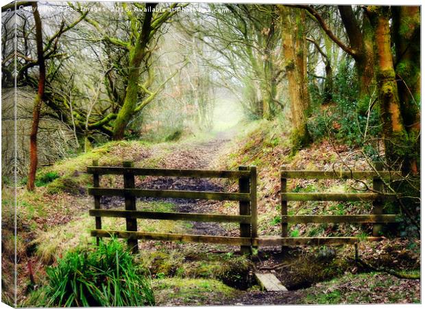 Countryside walk Canvas Print by Derrick Fox Lomax