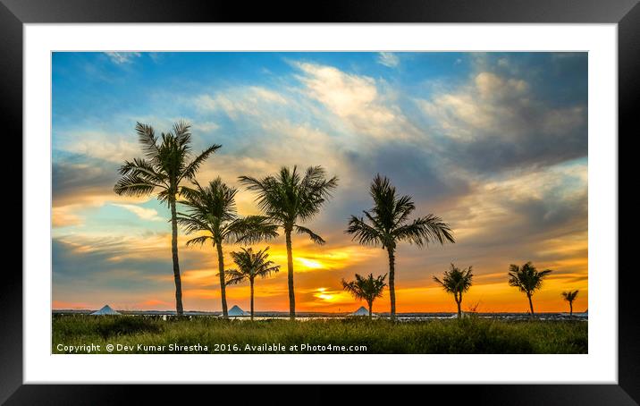 Sunset with dates tree Framed Mounted Print by Dev Kumar
