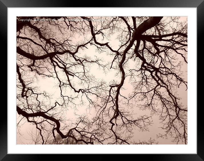 Tree brains Framed Mounted Print by Marja Ozwell