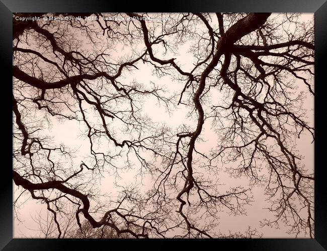 Tree brains Framed Print by Marja Ozwell