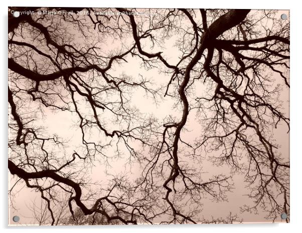 Tree brains Acrylic by Marja Ozwell