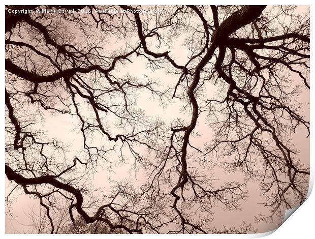 Tree brains Print by Marja Ozwell